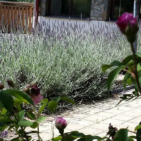 Hébergement de vacances Chalupa Dolce Trutnov